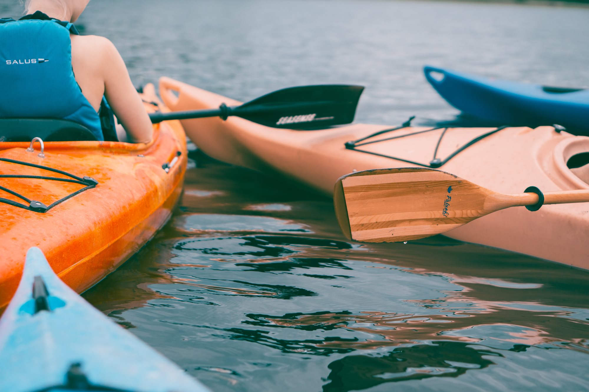 boats